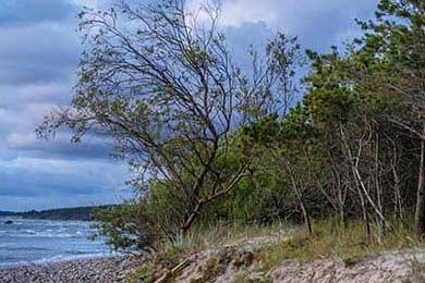 Aster关键比赛连胜不断，aster冠军