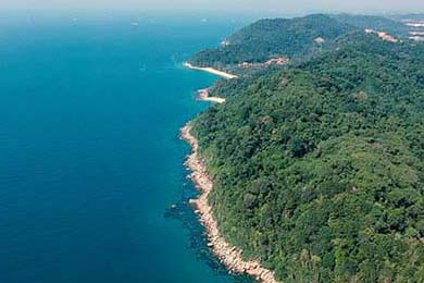 2025年王者荣耀世界冠军杯预告，王者荣耀世界冠军杯预测